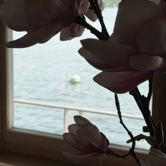 IMG_0030
